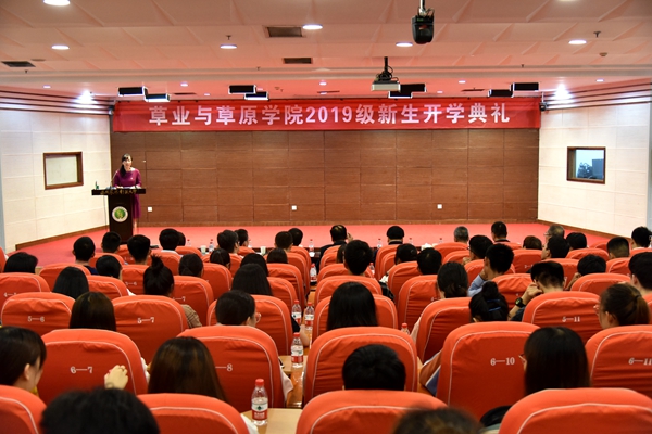 新澳门六合彩内部资料