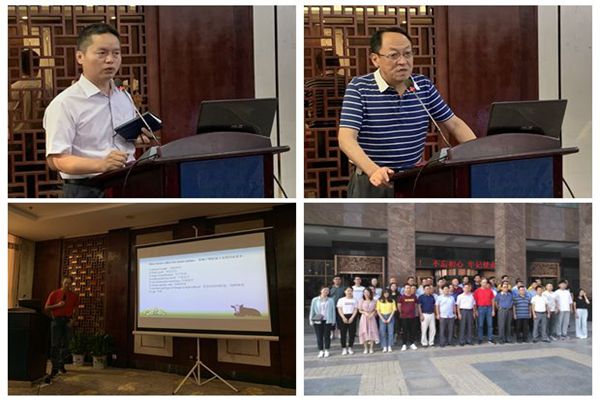 新澳门六合彩内部资料