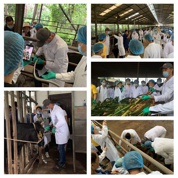 新澳门六合彩内部资料