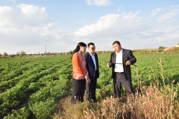 新澳门六合彩内部资料