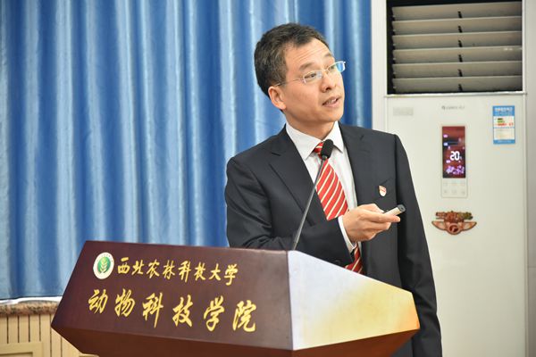 新澳门六合彩内部资料