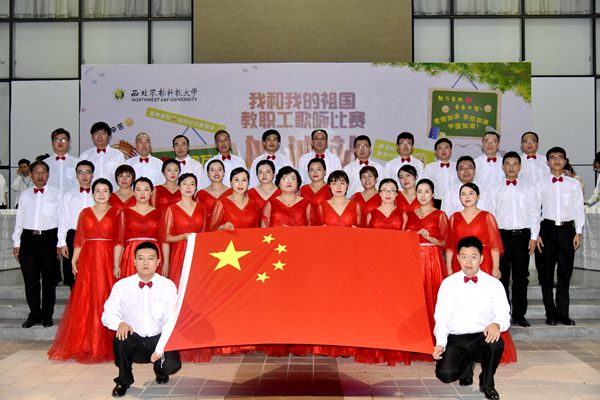 新澳门六合彩内部资料