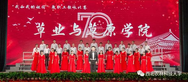 新澳门六合彩内部资料