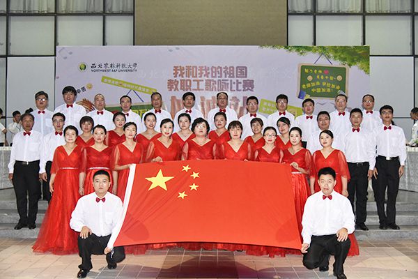 新澳门六合彩内部资料