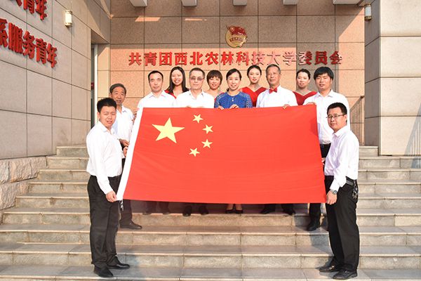 新澳门六合彩内部资料