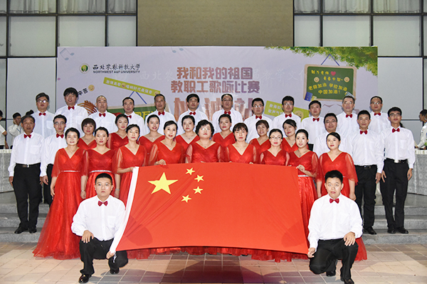 新澳门六合彩内部资料