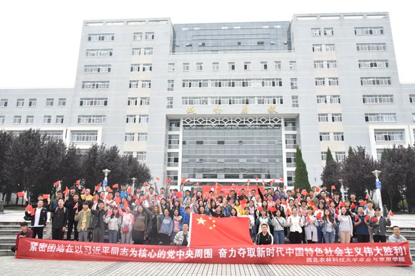 新澳门六合彩内部资料